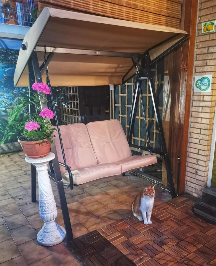 Guest House Il Limone Nascosto Rome Exterior photo